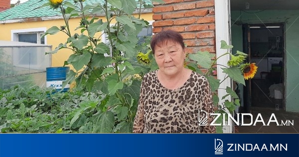 Сурвалжилга | ж. Наранцэцэг: алгын чинээ газраасаа жилд 10 сая төгрөгийн ашиг олдог
