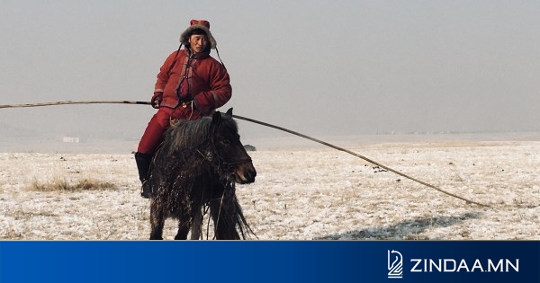 О. Дагвадулам: хурдан морины дүрэм журмаа эртхэн шийдэх хэрэгтэй байна