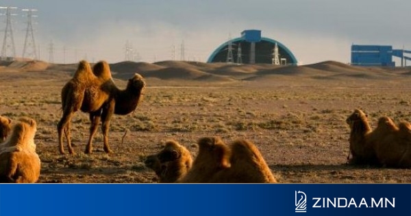 ОЮУТОЛГОЙН ХЭЛЭЛЦЭЭ: Арбитр хүрэх зам гарц уу, эсвэл...