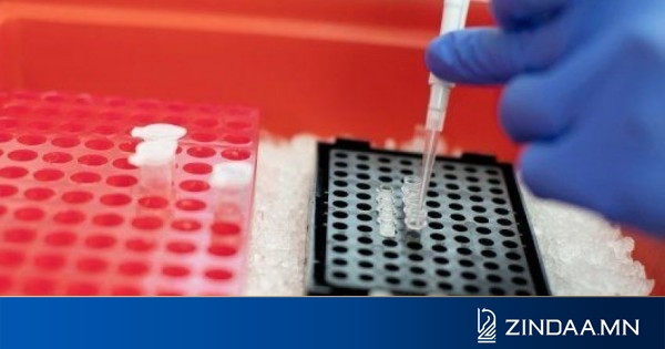 Эмя: халдвар аваад эдгэрсэн хүнээс pcr шинжилгээ шаардах хэрэггүй